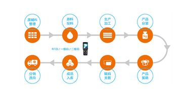 构建智慧防线 水产品质量追溯系统与信息安全软件开发双管齐下，保障您的食用安全